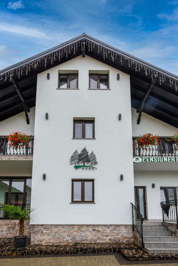 Pensiunea Paradisul Verde Moisei Exterior foto